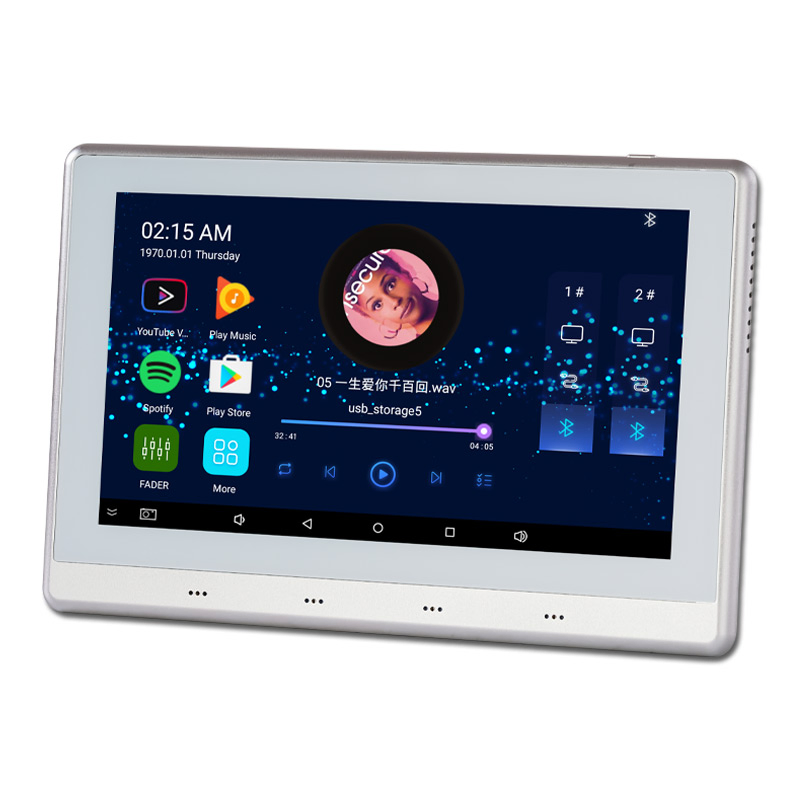 Tianlai Interruptores Inteligente Screen Panel WiFi Audio Bluetooth Wall Mount Amplifier