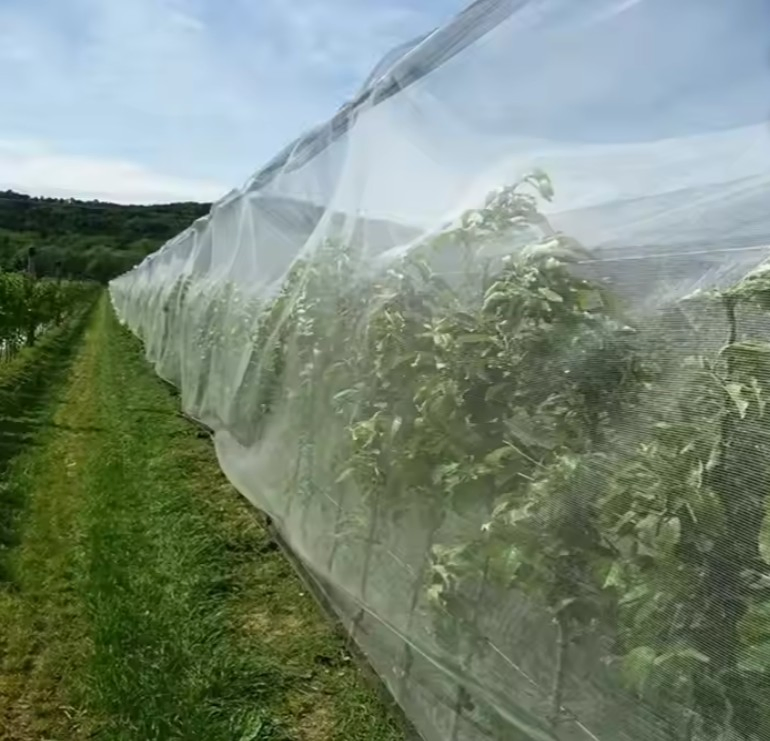 100% HDPE Mosquito Mesh Agricultural Insect Net 25 32 40 50 60 Mesh