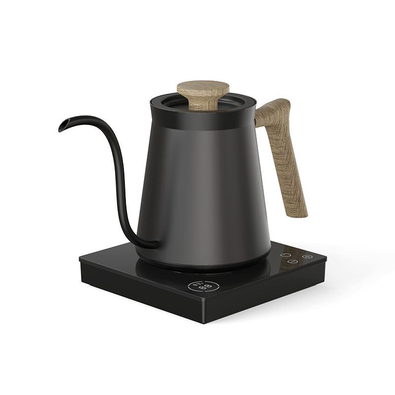 Ranbem 110V 220V 0.6L 1000 Watt Quick Heating Pour Over Kettle Electric Gooseneck Kettle for Coffee Tea Brewing