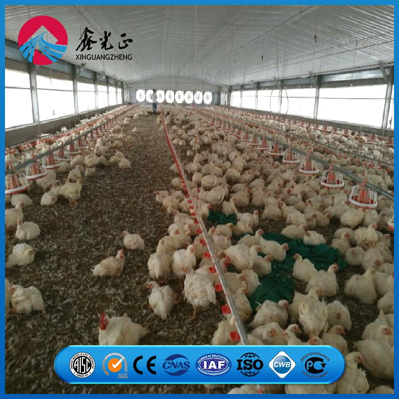 Column-to-Beam Reinforced Connection Frame Chicken Prefab Metal Farming Equipment Steel Structure Sheep/Goat/Pig/Hog/Cattle/Cow/Poultry House/Shed