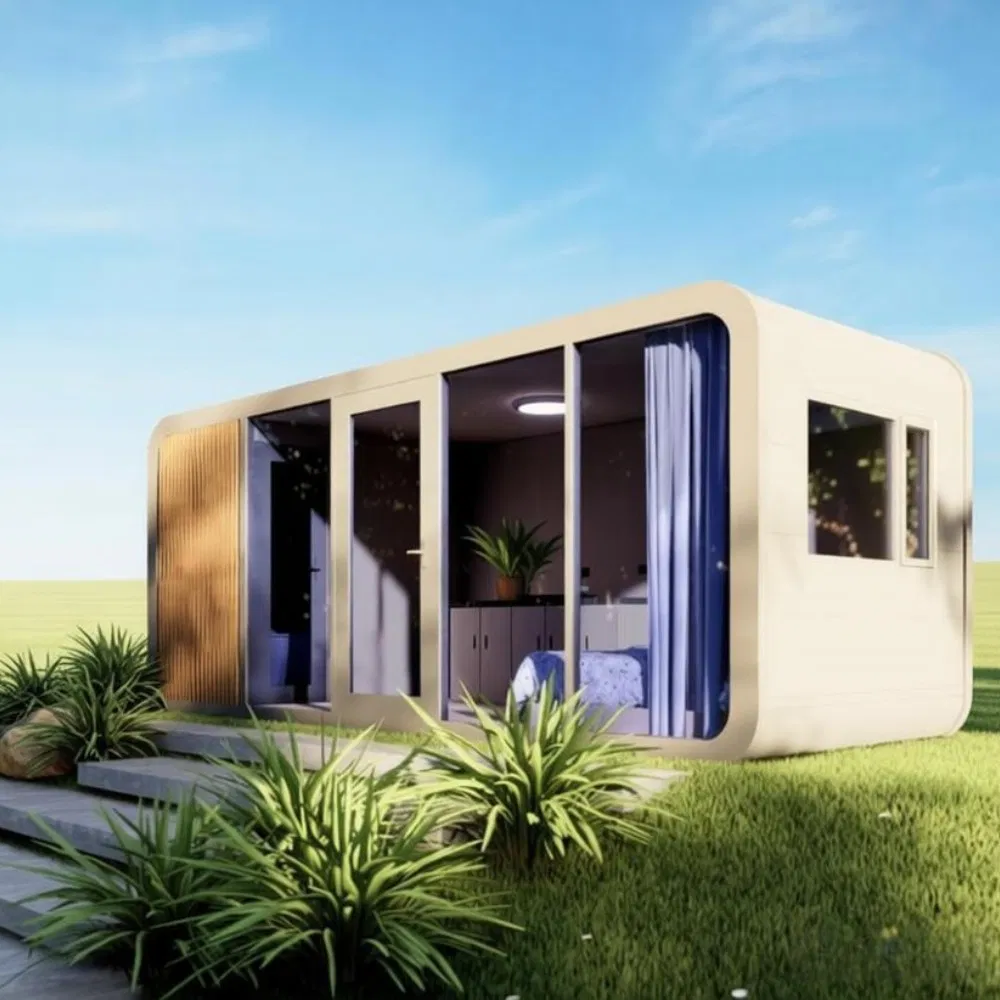 Apple Capsule Container with Custom Interior Design