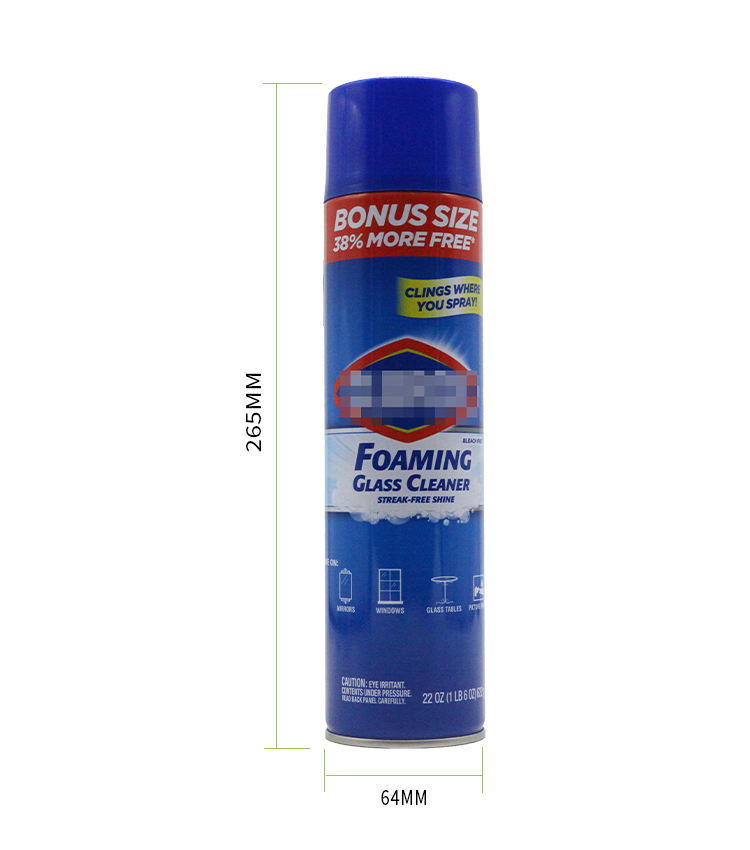 Factory Price High Quality Effective Cleaning Car Windshield Home Glass Cleaner Foam Detergent Spray
