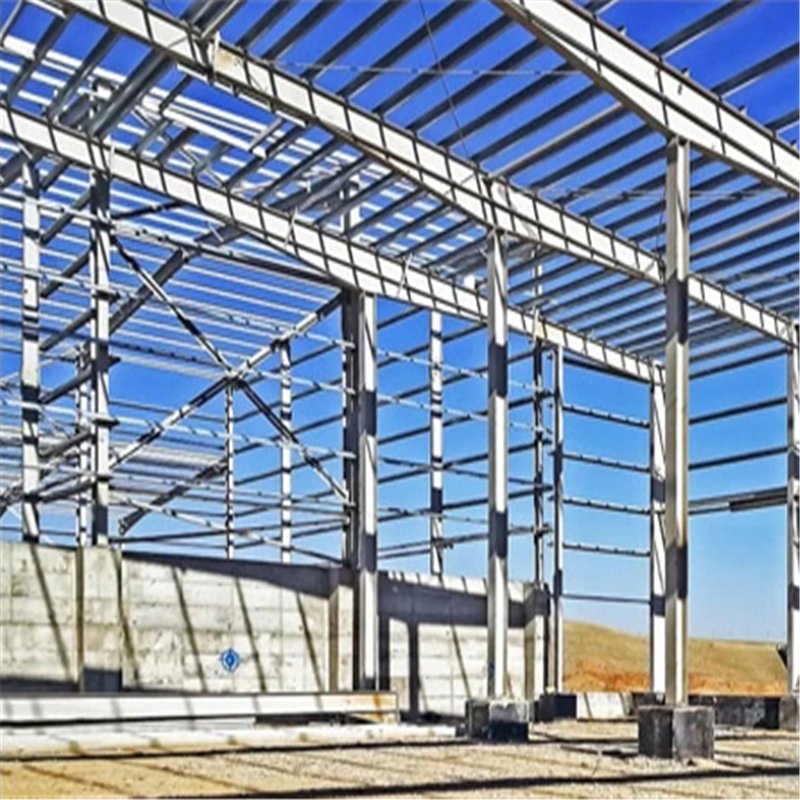 Multi-Layer Steel Structure Building for Poultry Farm