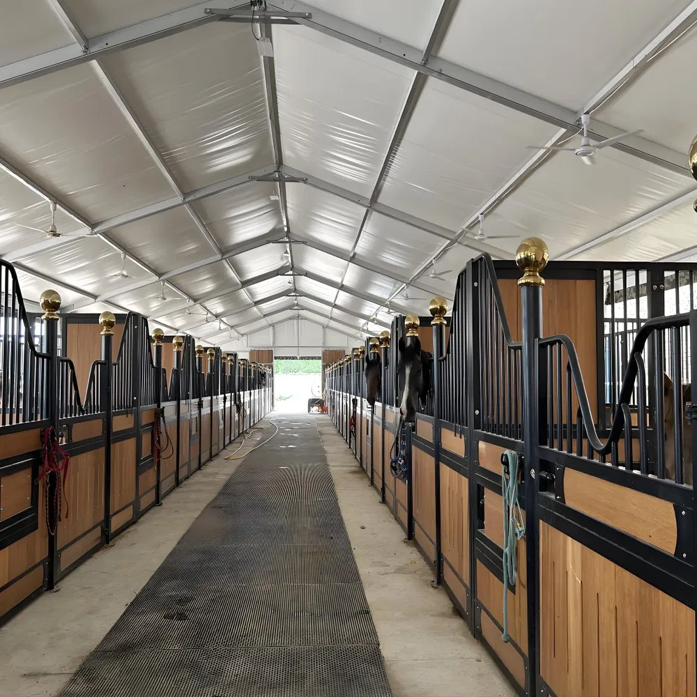 Robust Steel Framework for Reliable Livestock Farming Solutions