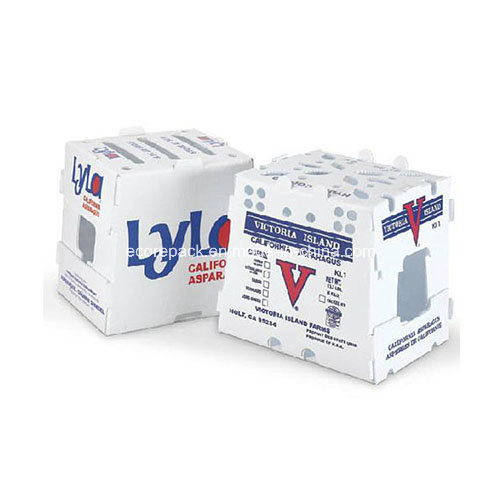 Fresh Asparagus Correx PP Foldable Transport Plastic Corrugated Box