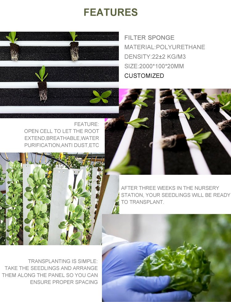 Vertical Zip Grow Tower Porous Anti-Biotic Organic Polyurethane Filter Foam Polyurethane Foam