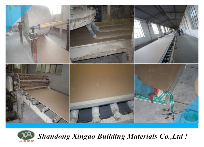 Regular Fireproof and Moisture Proof Paper Faced Gypsum Board