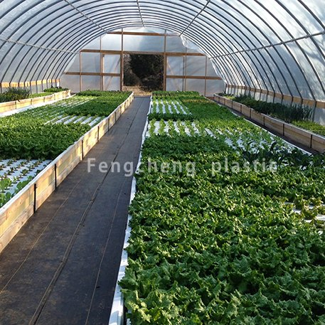 Weed Blocker Barrier Black Weed Control Mat for Ground