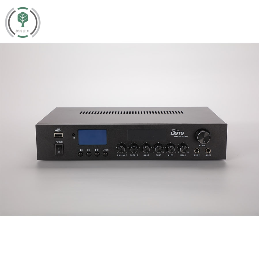 High Power Stereo Mixing Amplifier with USB FM Mic Input for Home Use