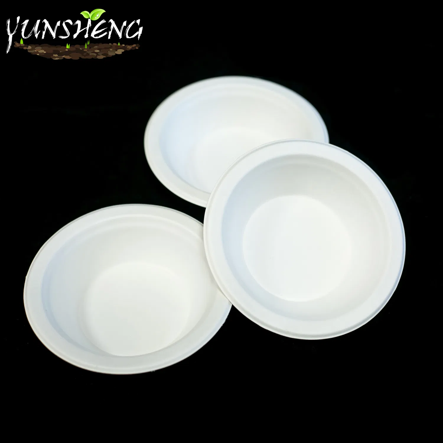 Environmentally Friendly Containers Biodegradable Fast Food Packaging