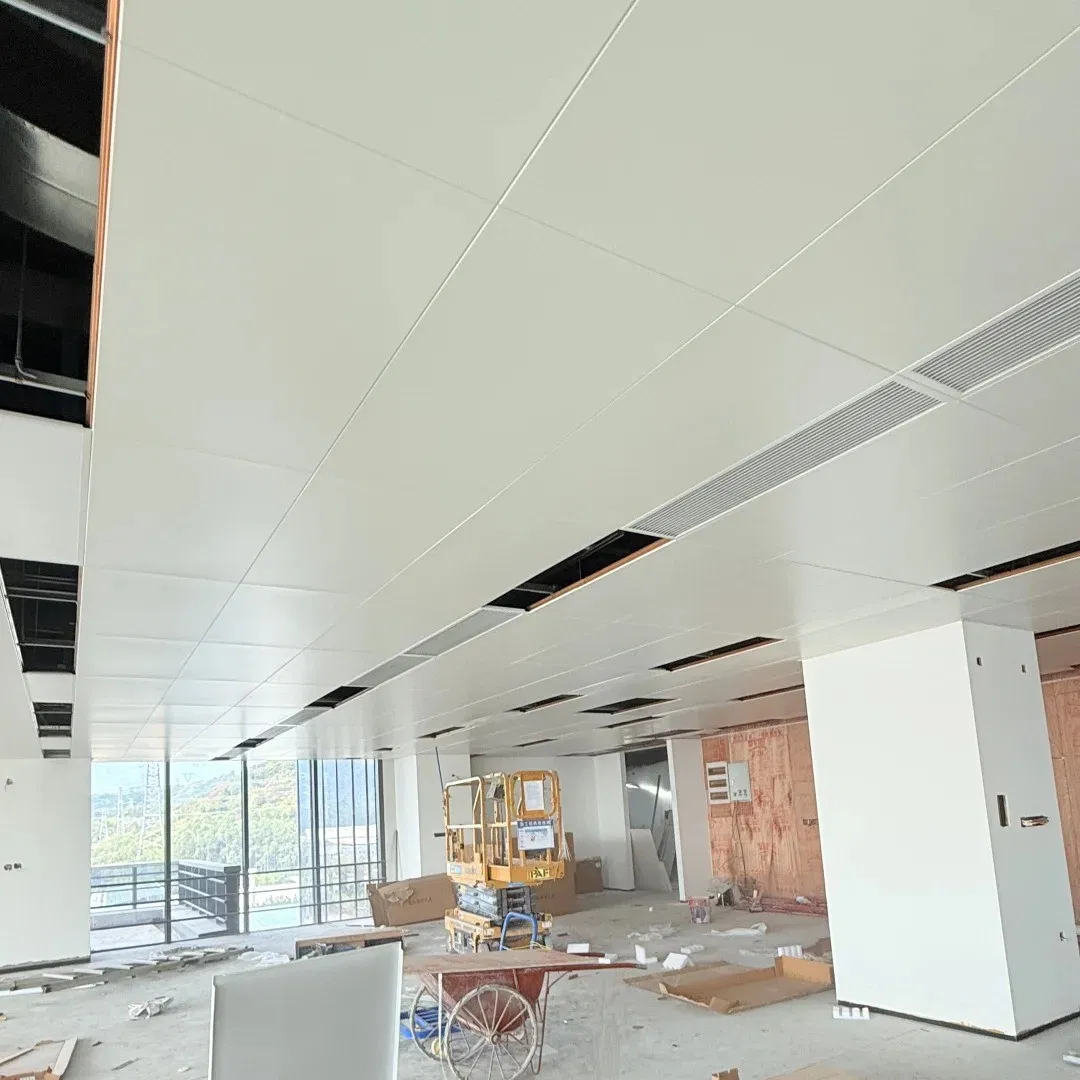 Customizable Aluminum Ceiling - Fast Delivery in 10-15 Days Various Styles