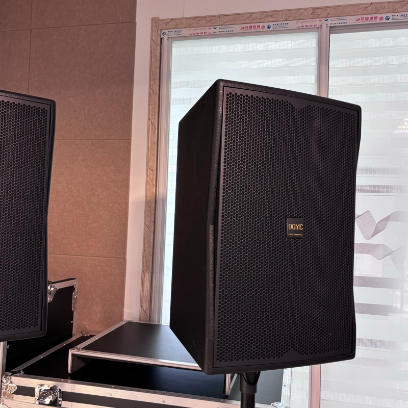 Domc K215 15-Inch Speaker - Ideal for Outdoor Events and Gatherings
