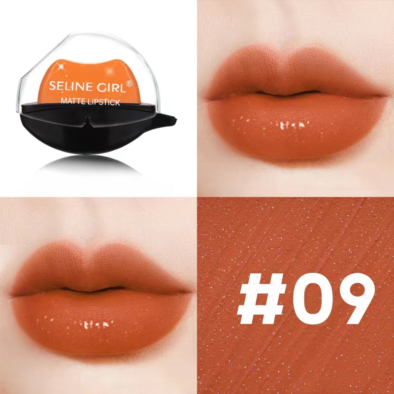 Seline Girl 8.9g Cream Moisture Makeup Matte Lipstick Manufacturer