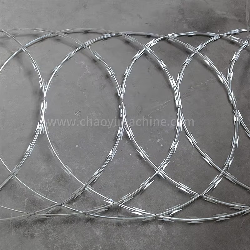 Security Protected Razor Barbed Wire (BTO-28)