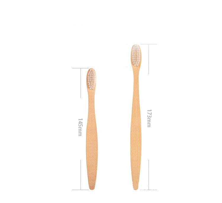 Sustainable Earth Environmentally Non Plastic Organic Natural Eco Friendly Bamboo Toothbrush Organic