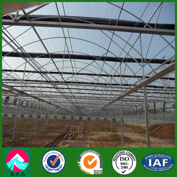 Heavy-Duty Steel Warehouse Built for Ultimate Longevity and Safety