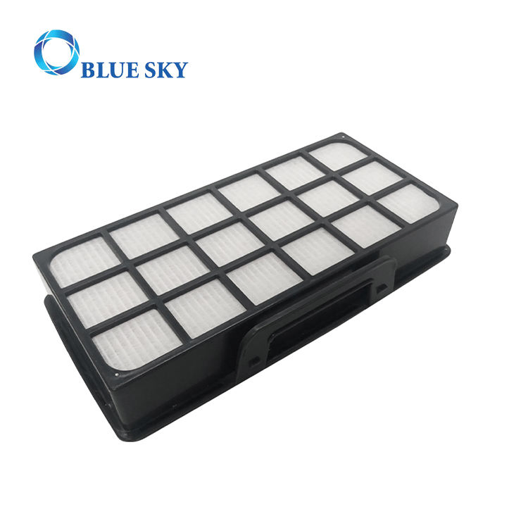 HEPA Filter and Pre-Motor Filter for Rowenta Zr006001 RO6941e