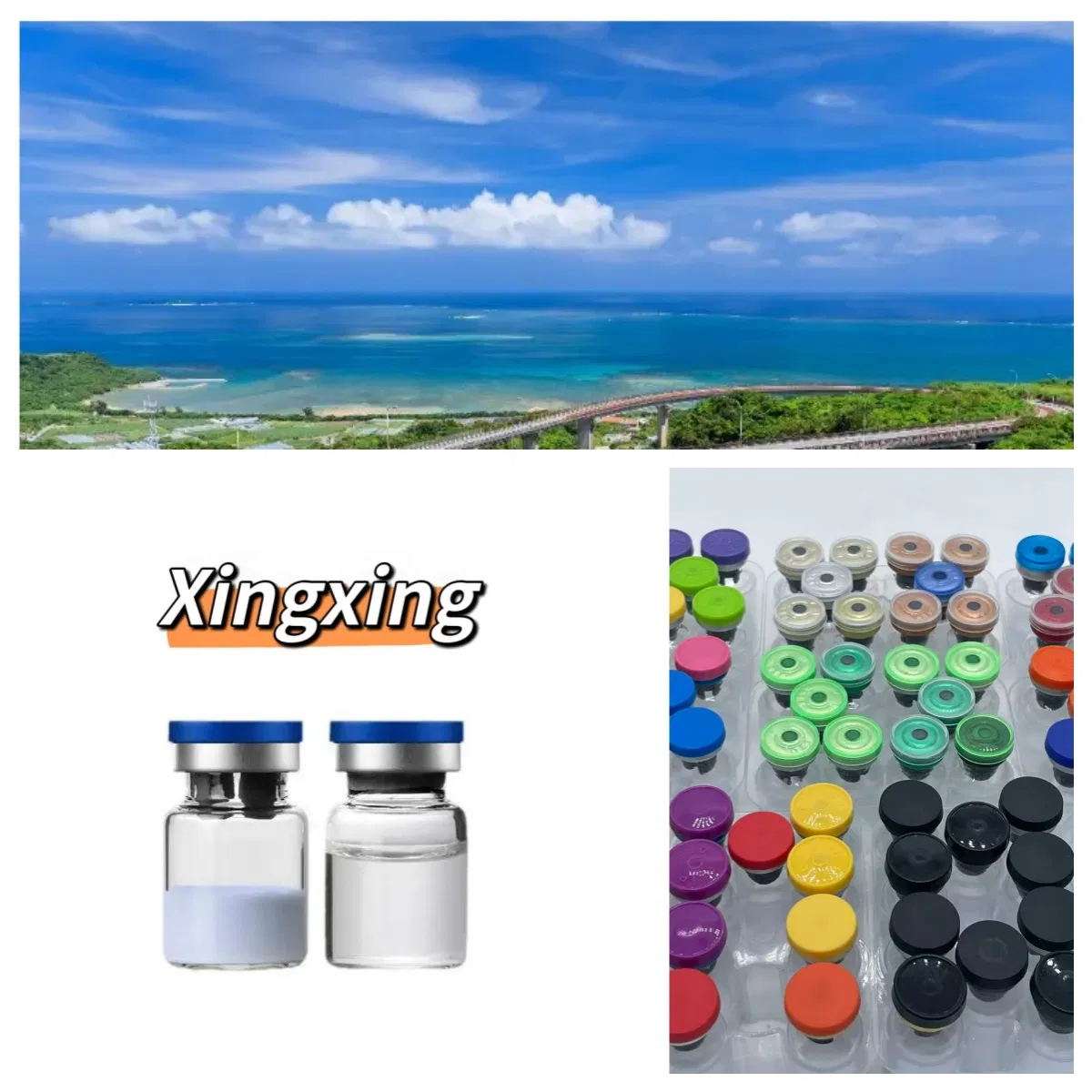Premium Xingxing Brand China Origin Copper Peptide Ghk-Cu Bulk Peptide