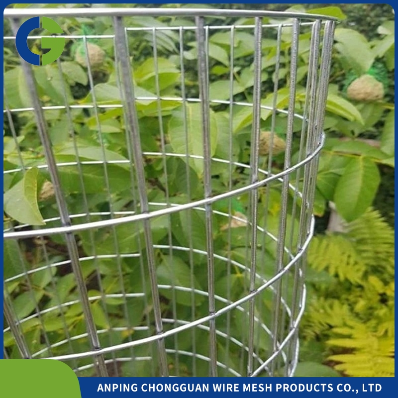 3/4 Inch19mm Eelectro Hot Dipped Galvanized After Welding Welded Wire Mesh