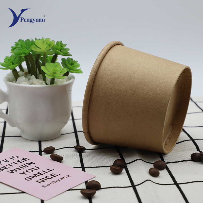 Custom Printed Disposable Paper Ice Cream Cup with Dome Lid Wholesale