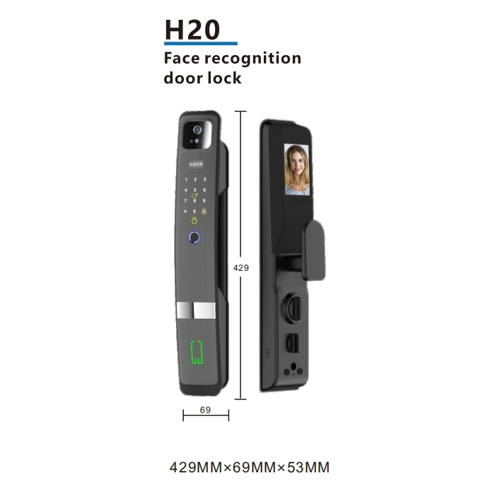 Advanced Smart Lock with Keyless Entry and Remote Access
