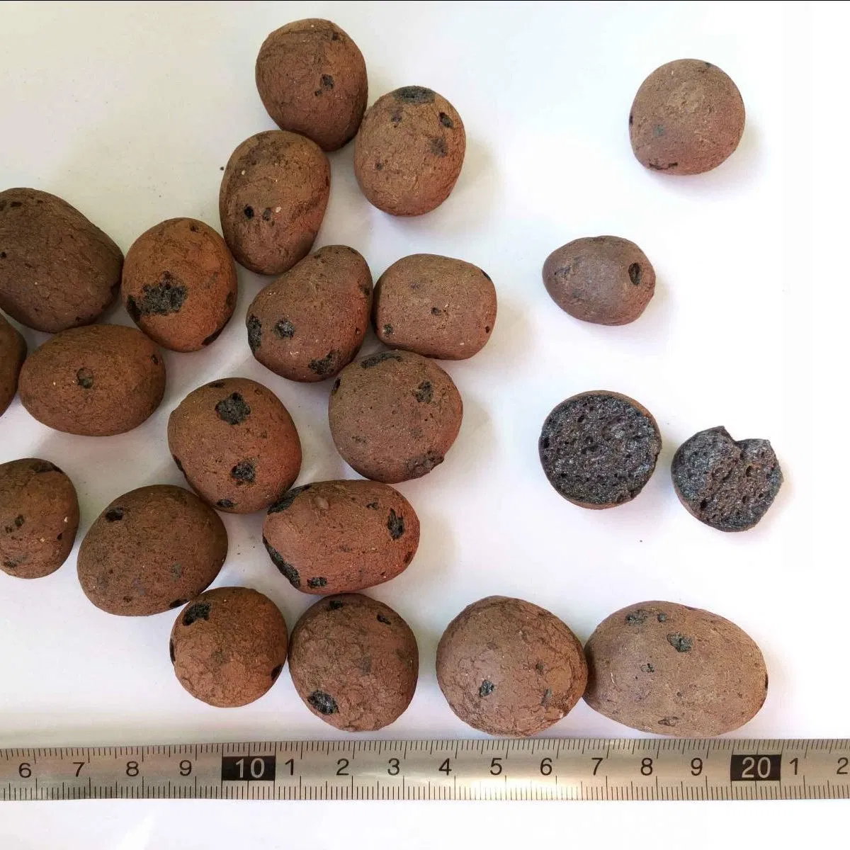 Lightweight Aggregate Growing Medium Expanded Clay for Plant