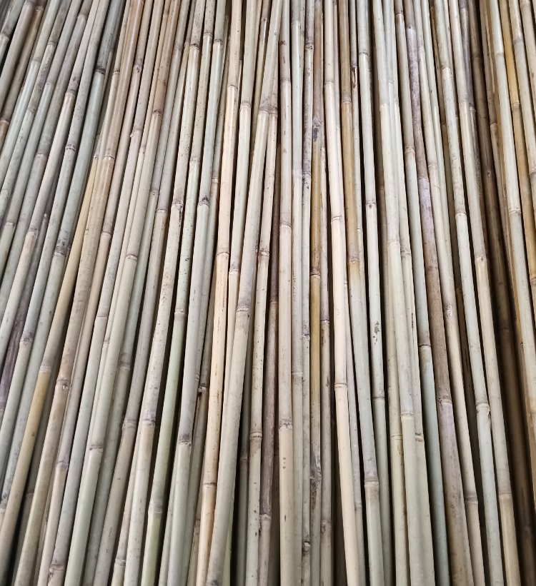 Dried Treated Bamboo Poles/Canes/Stakes Poles for Bamboo Raw Garden Plant Support