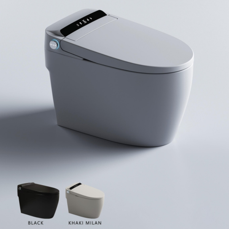 Fashionable Smart Toilet Ceramic Remote Control Intelligent Toilet Seat