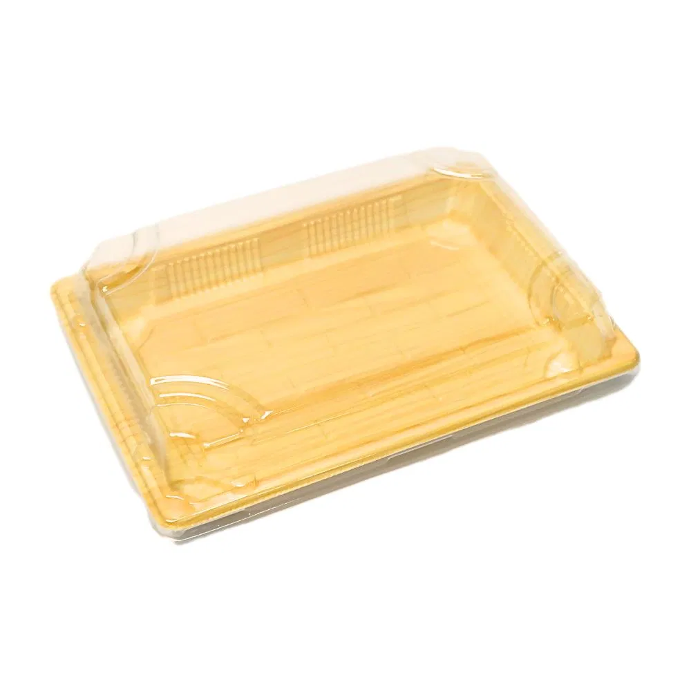 Wholesale Plastic Reusable Food Container Disposable Fast Food Packaging Takeaway Rectangle Sushi Box with Clear Lid