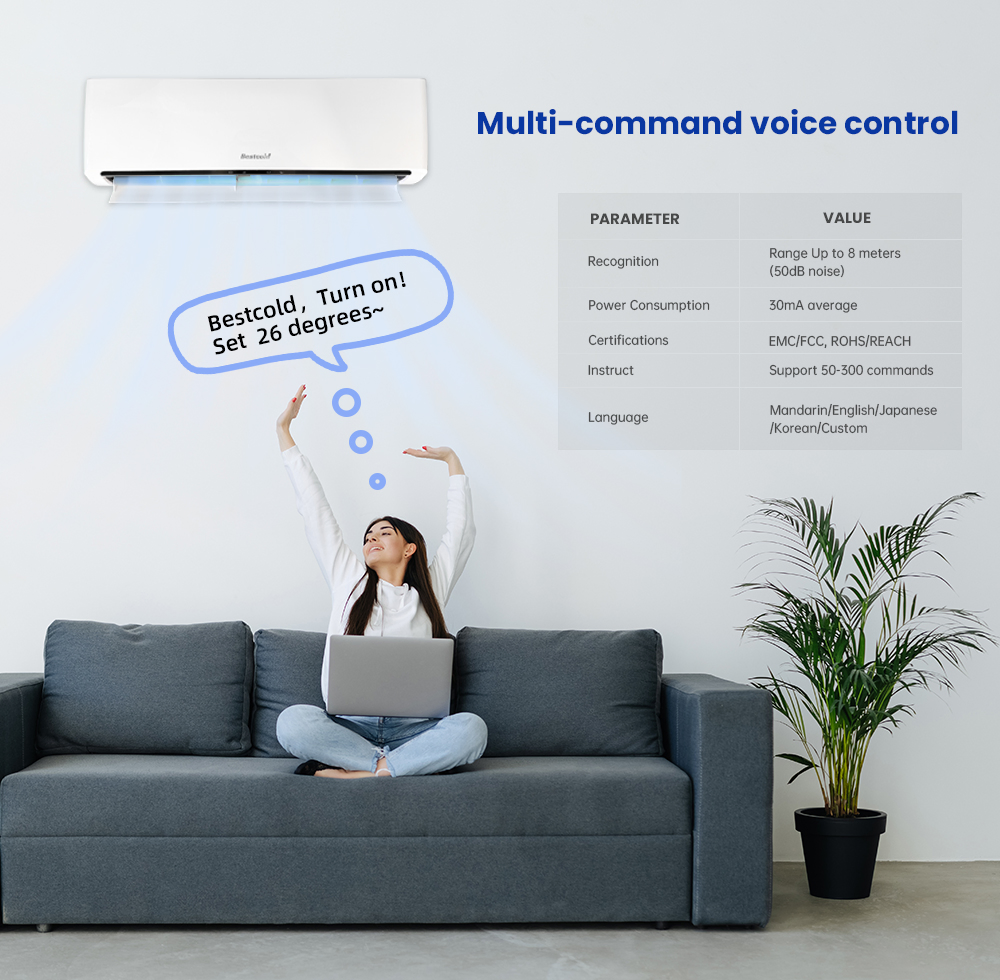 AC 9000-24000BTU R410A Cooling Only Mini Split Air Conditioners Cold Climate Model