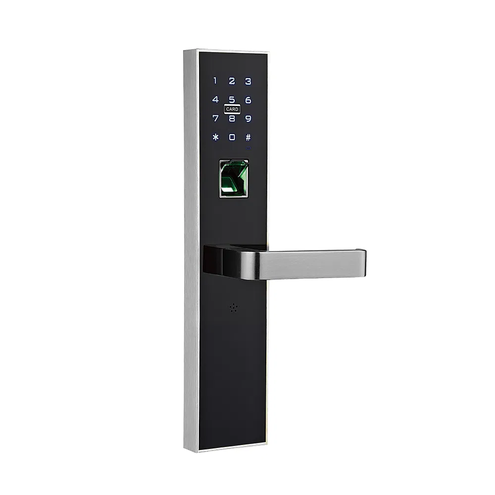 Hanse RFID Hotel Keypad Space Aluminum Electronic Door Lock Smart