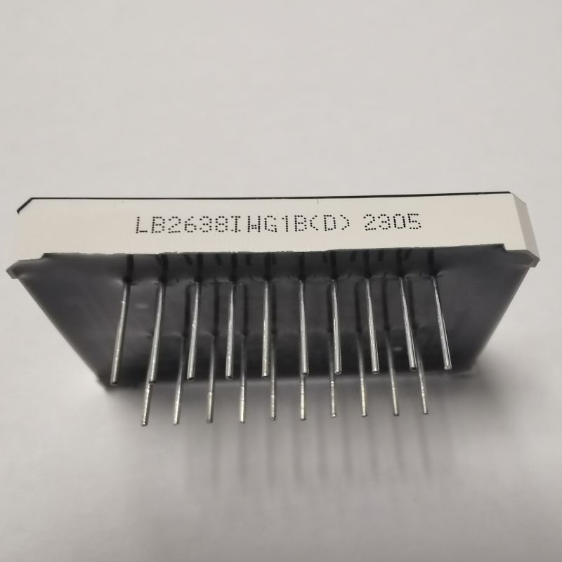 High Brightness Dual Line 7 Segment LED Display for Temperature Indicator