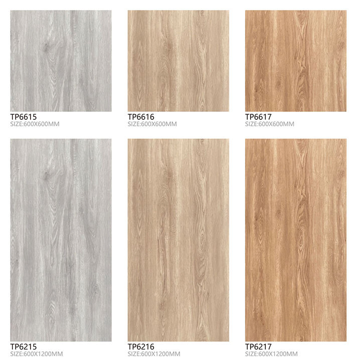 Premium Granite Porcelain Tiles 60X60 Cm for Modern Spaces