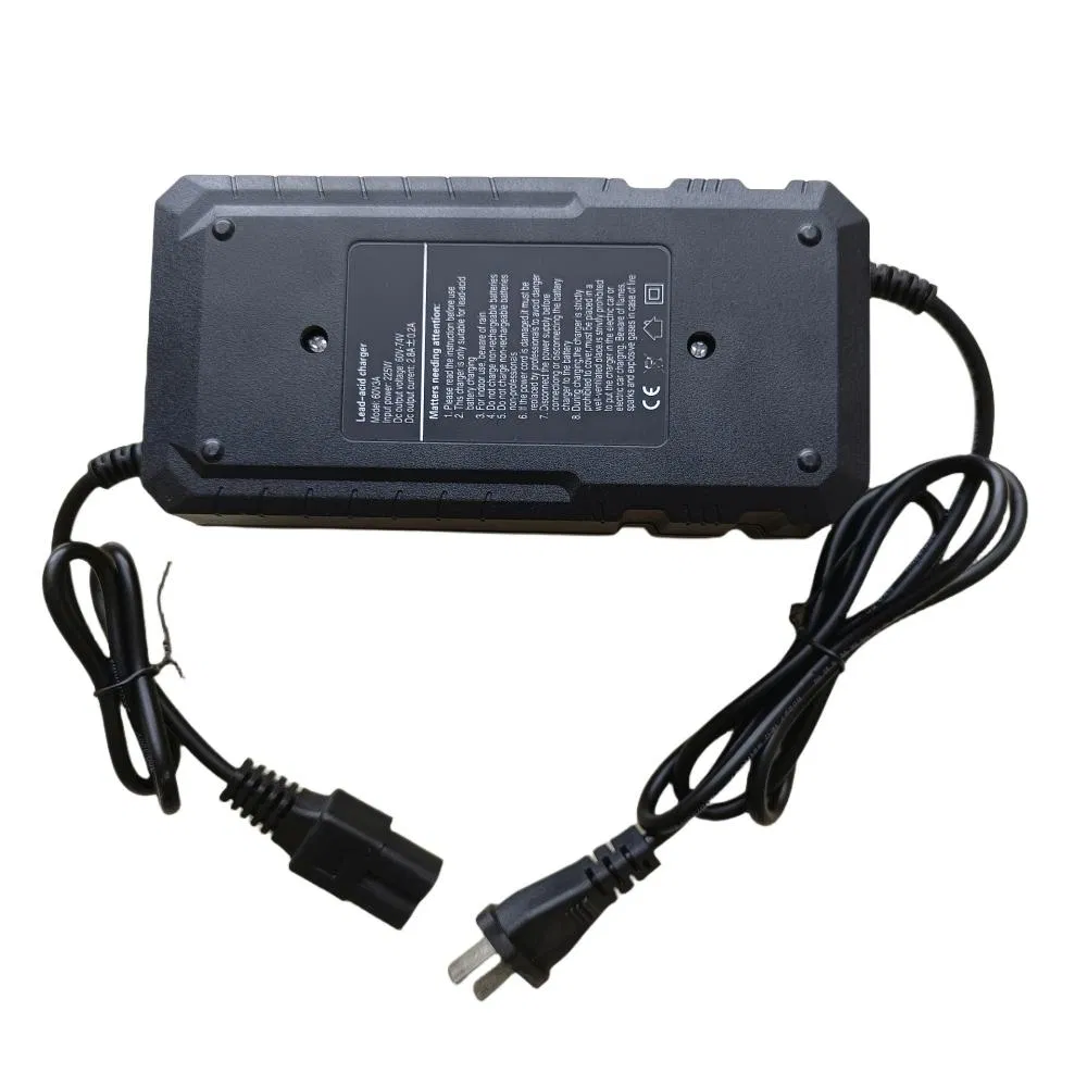 Automatic Electric Bicycle/ 48V30ah/ Lead Acid / Brand Electric/ Bicycle Battery Charger