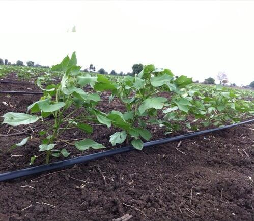 1 Hectare Agricultural Drip Irrigation System 16mm Drip Pipe LDPE Hose for Farm & Garden Efficient Watering & Irrigation Tube