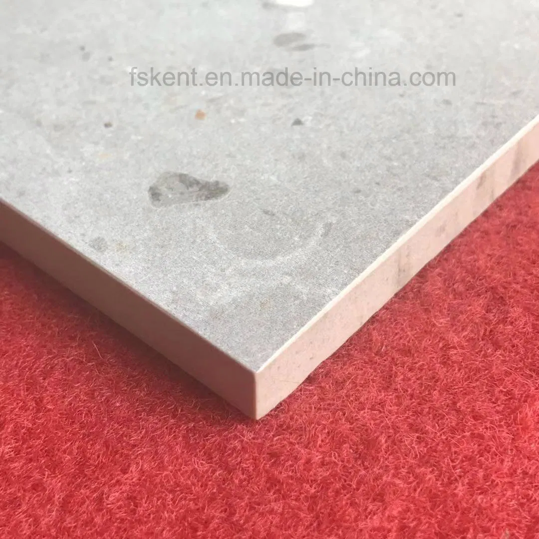 Керамическая плитка Sasolo матовая, 600x600 мм