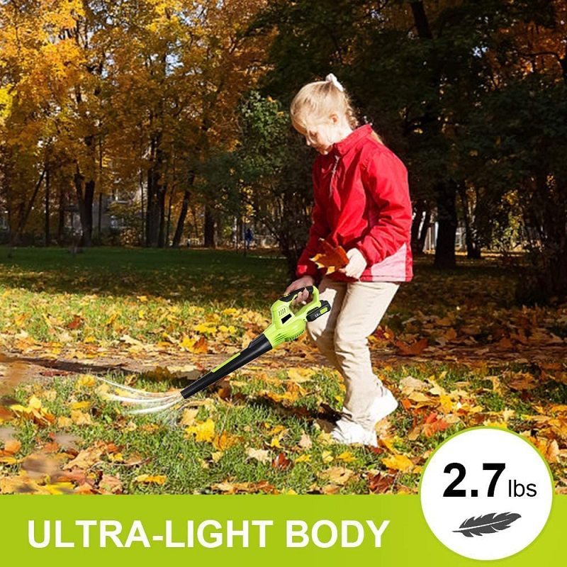 Low Noise Light Weight Portable Lithium Battery Garden Snow Blower Leaf Blower Cordless Snow Blower Machine