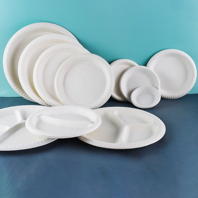 Disposable Plastic Plate Food Container Disposable Container Eco Friendly Corn Starch