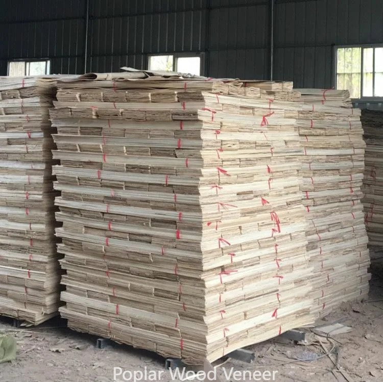 Chanta Factory Direct Sales Cheap 1.4mm Natural Poplar Core Veneer