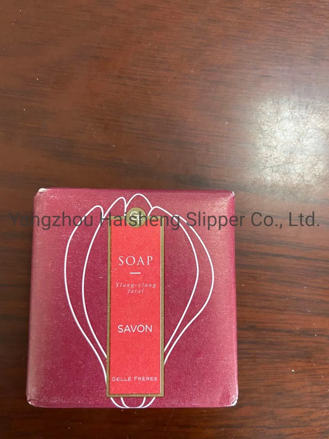 30ml Tube Packaging Mini Set Amenities Hotel Shampoo and Conditioner