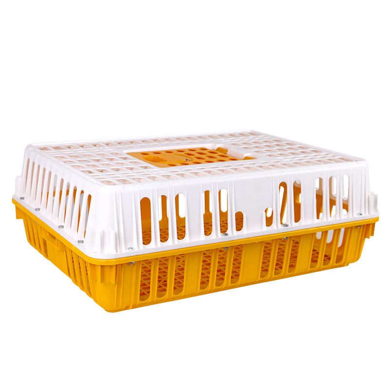 Plastic Chicken Transport Box Live Chicken Transfer Box (002)