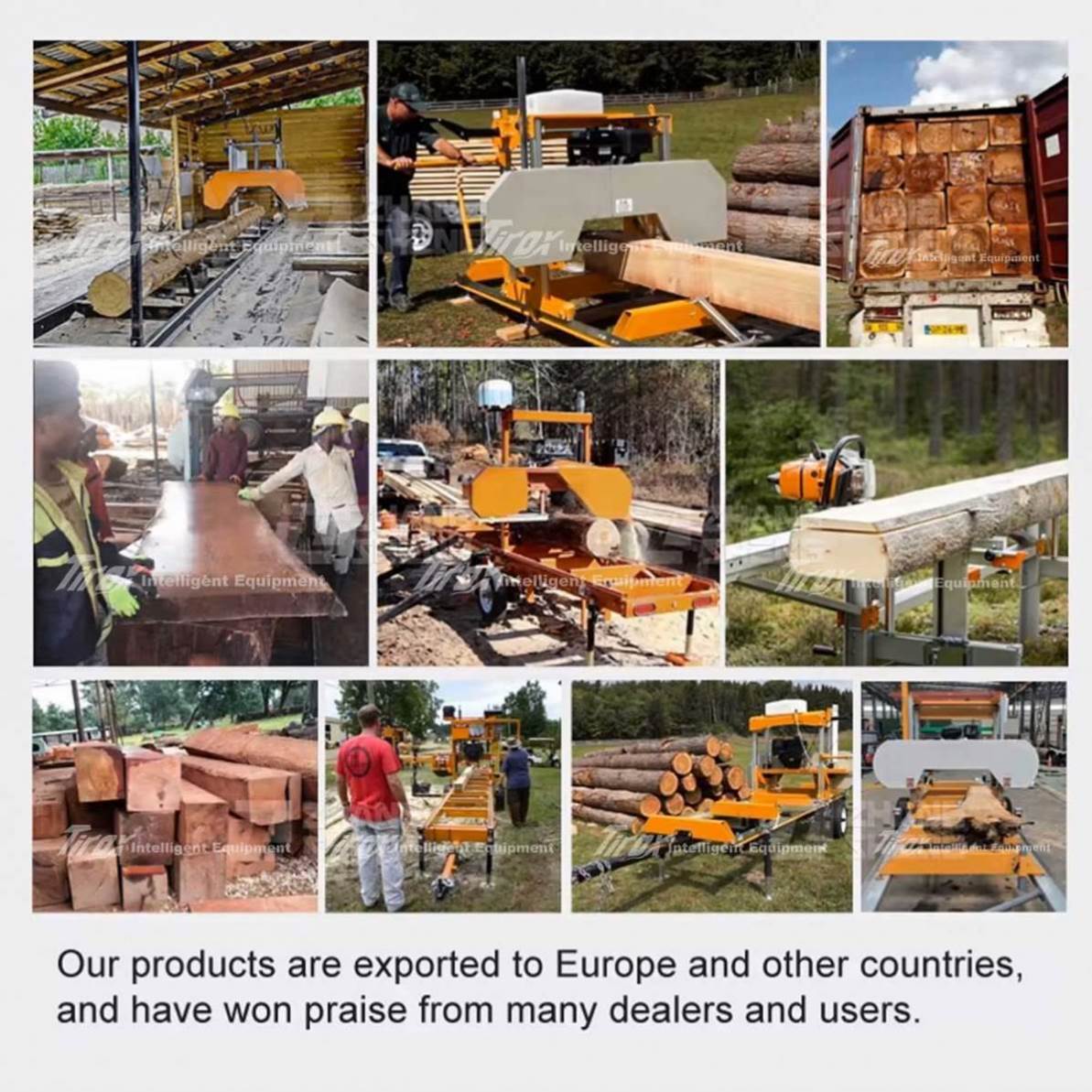 Пилорама ленточная горизонтальная промышленная