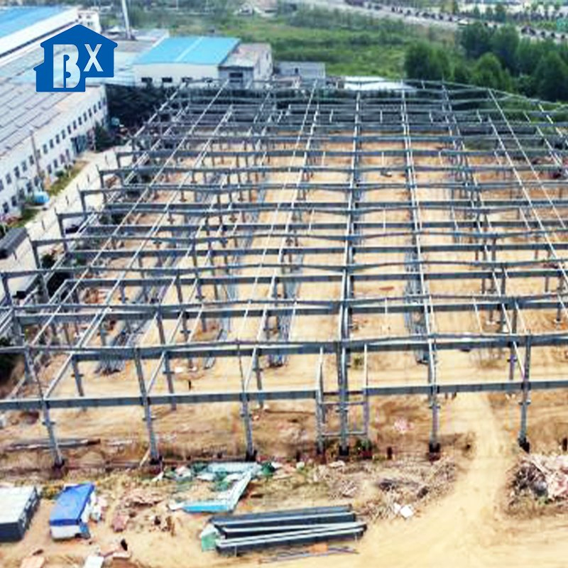 Modular Luxury Prefabricated Storage Light Steel Structure Storage Bonded Building Workshop Warehouse for Industry Prefab Steel Structure Frame Warehouse