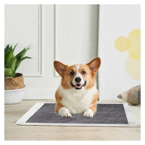 Carbon Training Pad Puppy Pads Waterproof Dog and Cat