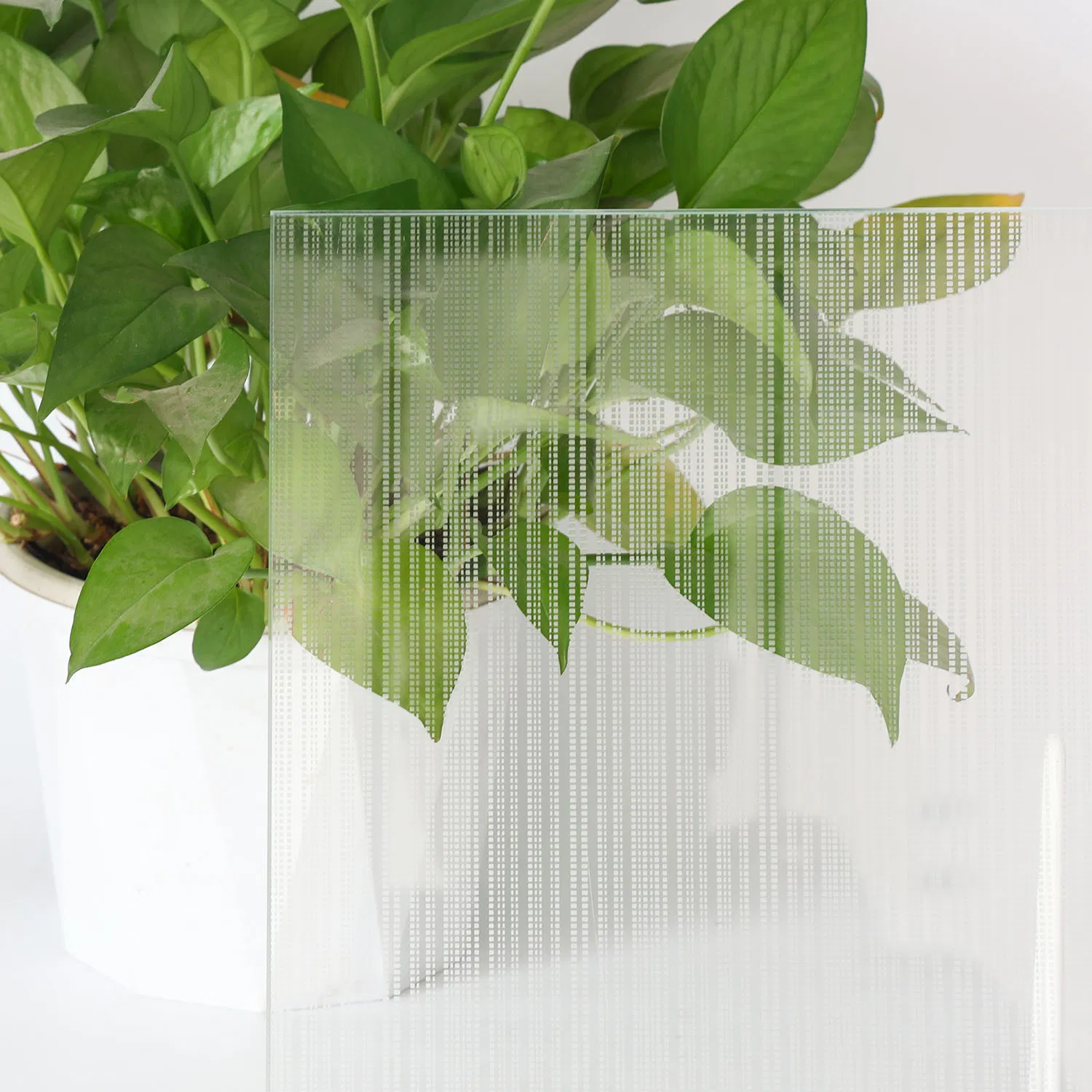 Frosted Glass Door Glass with Customized Matte Surface Options