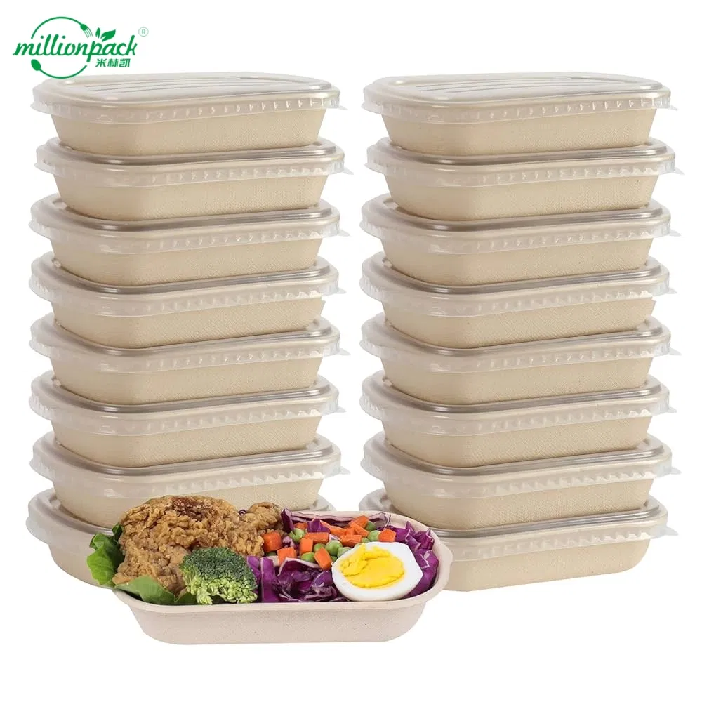 Custom Printed Bagasse Square Box for Branded Catering and Promotional Events