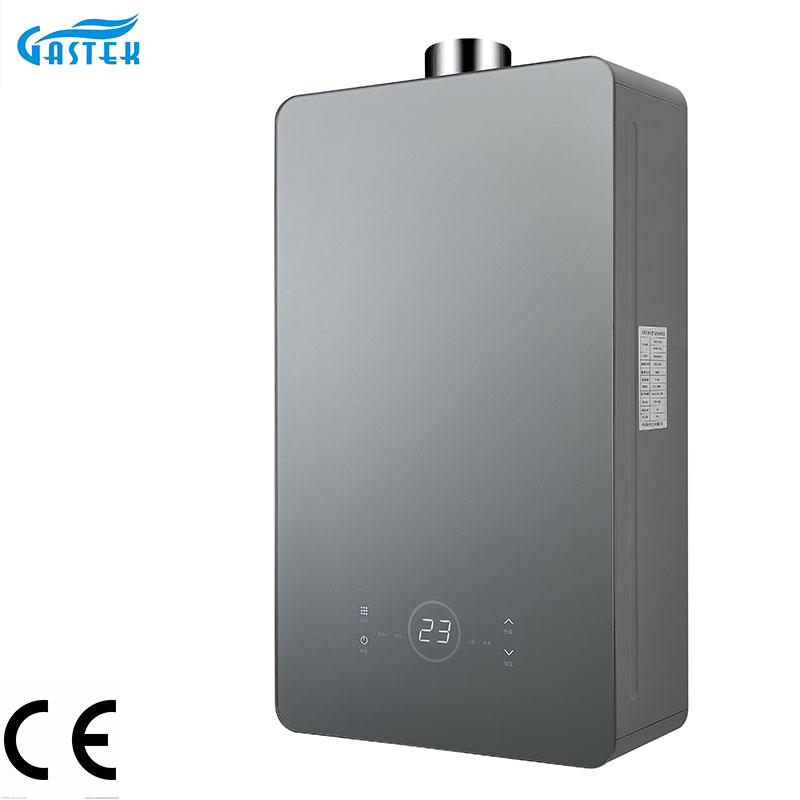 Energy-Saving 12L Gas Water Heater for Instant Hot Water