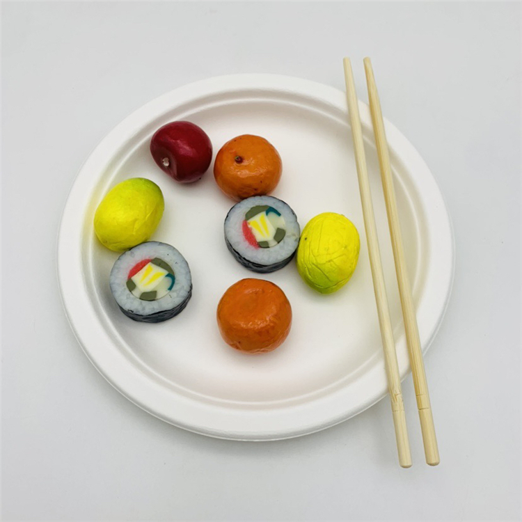Disposable Bagasse Plates with Chopstick for Restaurant