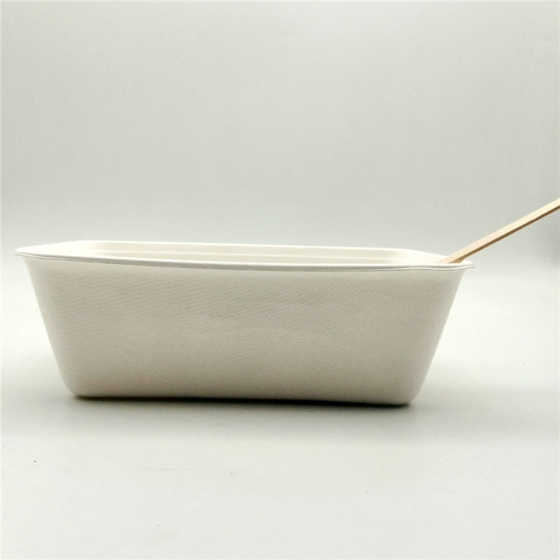 Disposable Biodegradable Sugarcane Bagasse Food Packaging Container