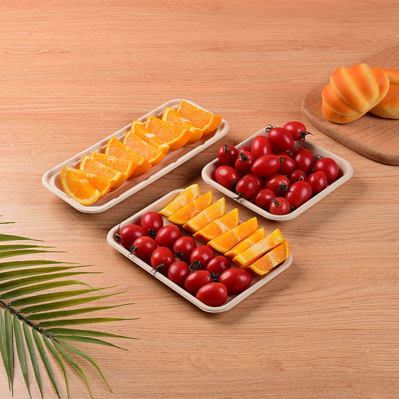 Biodegradable Lunch Container Vegan Meal Box with Divided Sections for Sauce Separation
